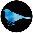 [VR] Blue Bird icono