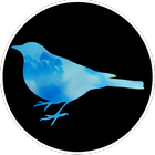 [VR] Blue Bird Zeichen