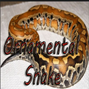 Ornamental Snake APK