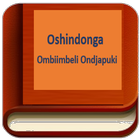 Oshindonga Bible icône