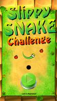 Slippy Snake Challenge Affiche