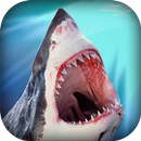 Shark Safari APK