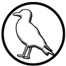 Seagull Simulator APK