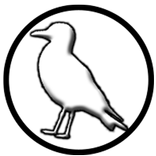 ”Seagull Simulator