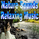 APK Nature Sounds Relaxing Music