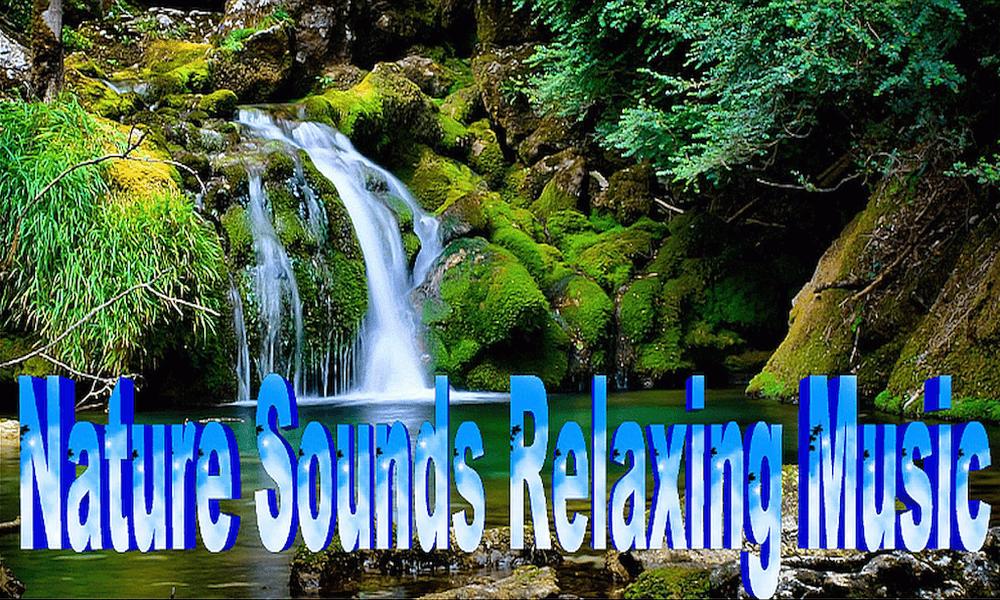 Nature Relaxing for Android APK Download