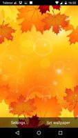 Autumn Leaves Live Wallpaper 포스터