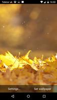 Autumn Leaves Live Wallpaper capture d'écran 1