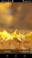 Autumn Leaves Live Wallpaper 截图 1