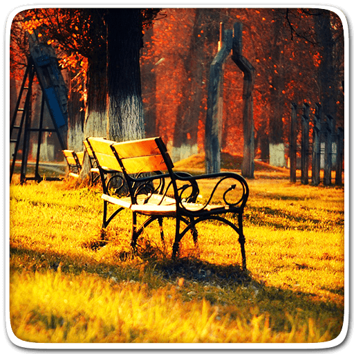 Autumn Live Wallpaper