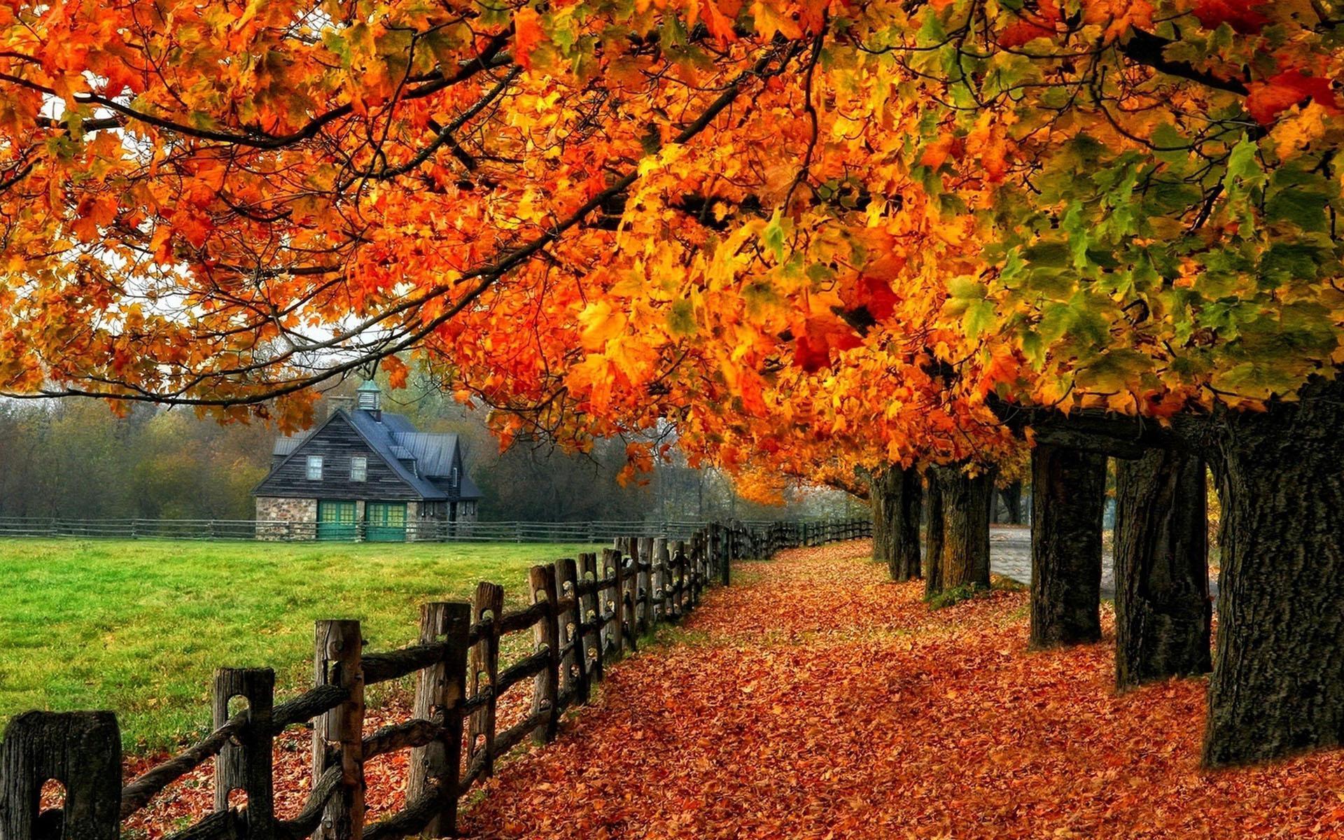 Autumn is beautiful