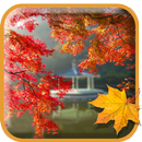 Autumn APK