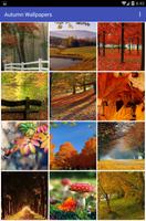 Autumn Wallpapers Affiche