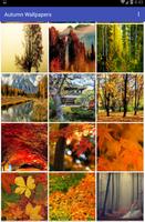 Autumn Wallpapers captura de pantalla 1