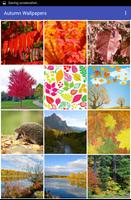 2 Schermata Autumn Wallpapers