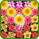 Blossom Bloom APK