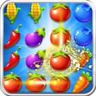 Fruits Match أيقونة