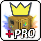 Case Opener Pro icon