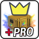 Case Opener Pro icono