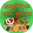 Ayurvedic Jadi Butiyan আইকন