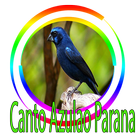 Azulão Canto Paraná Puro আইকন