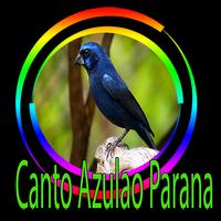 Azulão Canto Paraná Puro ポスター