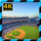 Wallpaper For Yankee Stadium Zeichen