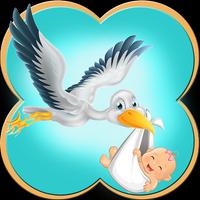 Super Stork Delivery Game Affiche