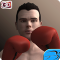 Real Boxing Legend
