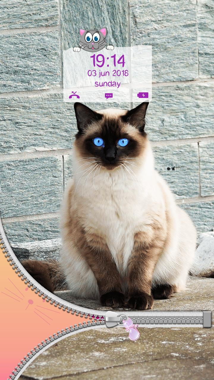 El Gaton Cats Icon Pack Lite - APK Download for Android