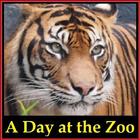Day at the Zoo Childrens Book-icoon