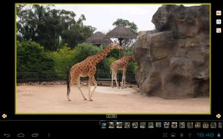 Day at the Zoo Childrens Book-poster