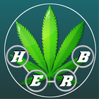 HerbTime icône
