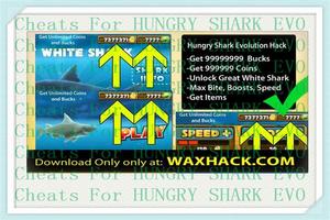 Poster Evolution Guide Hungry Shark