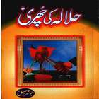 halala in islam urdu icône