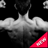 Shoulder Workout For Men :FREE