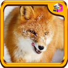 Real Fox Simulator 3D simgesi