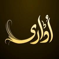 Udaari Urdu Novel постер