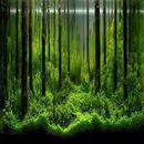 Aquarium Aquascape APK