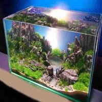 Aquarium Aquascape syot layar 3