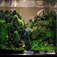 پوستر Aquarium Aquascape