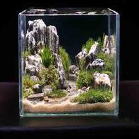 Aquarium Aquascape capture d'écran 2