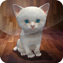 Live Kitten Tom Survival AR 3D APK