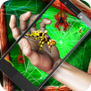 Live Spider on a Hand 3D AR APK