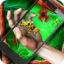 APK Live Spider on a Hand 3D AR