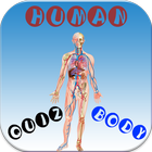 HUMAN BODY QUIZ ikona