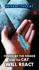 AR Hologram Cat Tom APK download