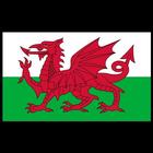 Short History of Wales icône