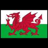 Short History of Wales 图标