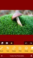 Totally Free Photo Editor ポスター